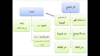 صورة فقه الأسرة (14) آثار النكاح - عامر بهجت - التأهيل الفقهي