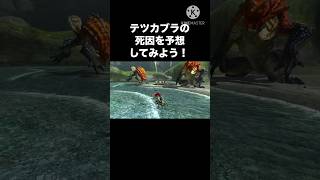 テツカブラの死因を予想してみよう #モンハン #mhxx #テツカブラ