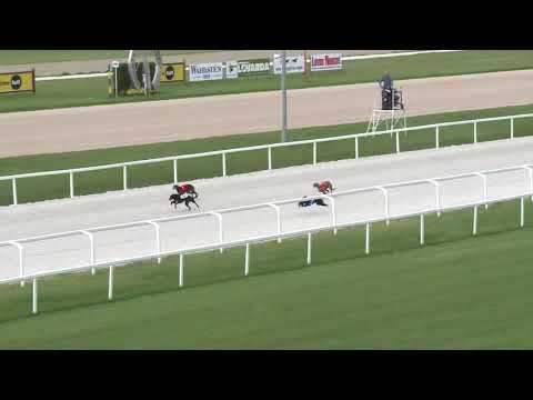 2018.06.24. 8. futam - Agár futam