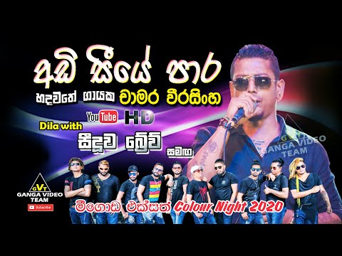 Adi Seeye Para Gawa (අඩි සීයේ පාර ගාව) | Chamara Weerasinghe | Brave - Meegoda 2020