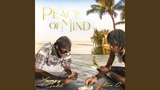 Download lagu Peace of mind (feat. Xamzy gold) mp3