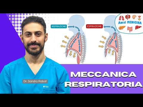 Pulmonary Physiology | Respiratory Mechanics