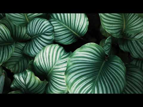 Moon Boots - Keep The Faith feat. Nic Hanson