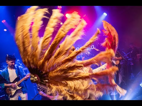 Play Video Youtube Video