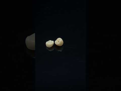 YouTube 썸네일