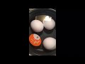 Perfect boiled egg every time. Eggy egg timer review