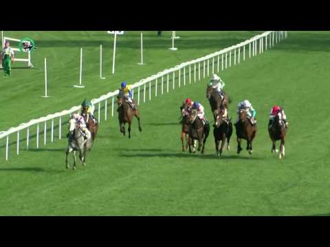 BA 9.4. Dostihy 5 - Memoriál Harryho Petrlík st.