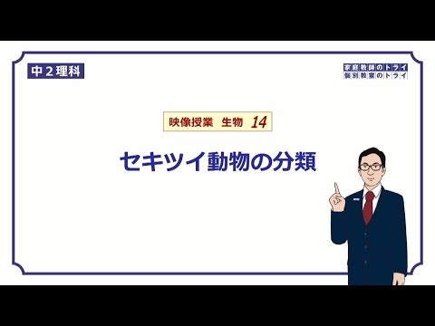 脊椎動物の分類