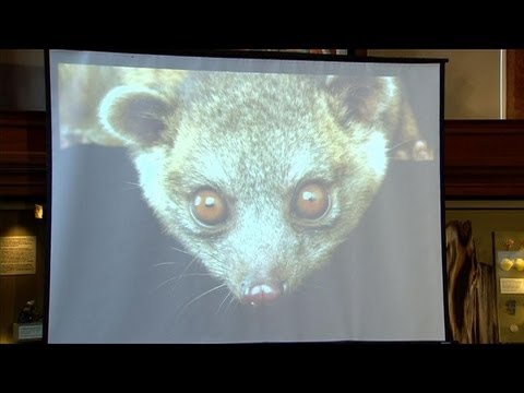 Image de prévisualisation YouTube