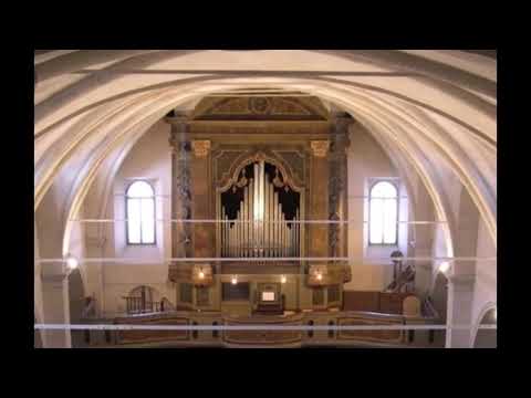 Sergio de Pieri - A. Lucchesi  Sonata in fa