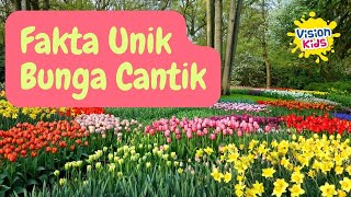 Download lagu BIKIN PENASARAN, INI DIA MACAM-MACAM FAKTA UNIK BUNGA YANG PERLU KAMU KETAHUI!! mp3