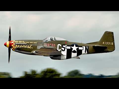 Japanese Aces Stunned When American P-51 Mustang Appears in Tokyo