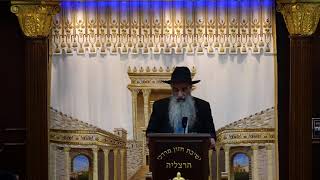 הרב מאיר דוד שמואלי שליט"א - שידור חי יום א - פרשת אמור תשפ"ו