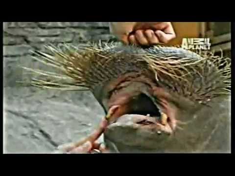 David Kane - Dream World (Krafft Remix).flv