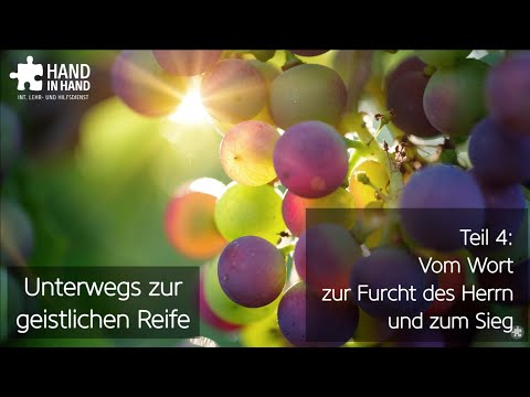 Videovorschau