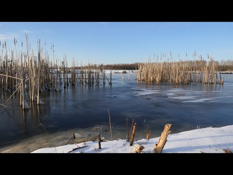 Gods woord levert altijd vrucht op. #Bijbel #Bijbelvers #Jesaja 55:10,11