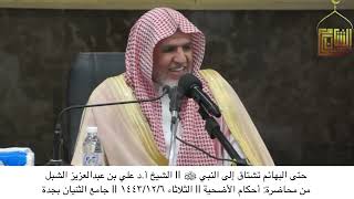 أ.د. علي الشبل | مقاطع محاضرة أحكام الأضحية image