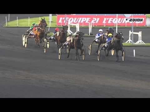 Astor du Quenne intraitable dans le Prix de Montbrison le 25/12/2013 à Vincennes