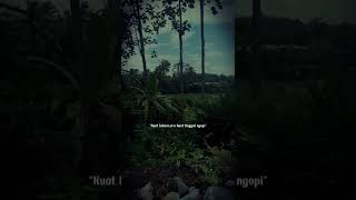 Download lagu Story Wa kopi dan rokok mp3