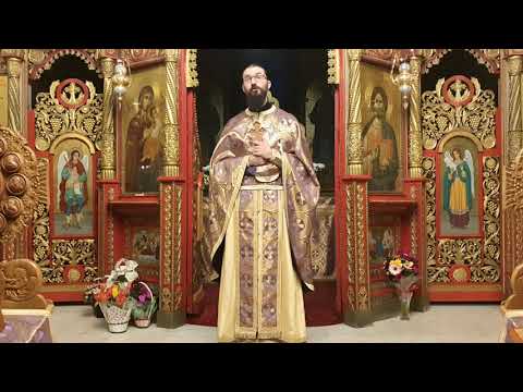 Pr Hristofor - este normal ca un creștin să se panicheze?