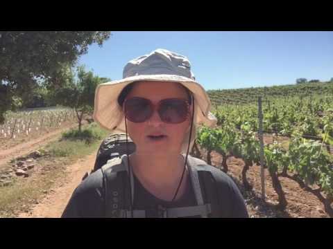 Mein Jakobsweg 2017 - Tag 41 Logrono - Najera