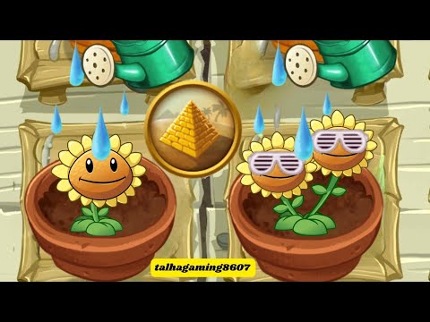 All Ancient Egypt Plants Animation Instant-Use In Zen Garden Plants vs Zombies 2