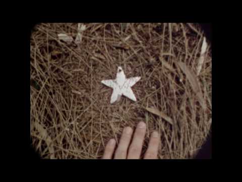 Tex Crick - She Smells (Like Roses) [Official Video]