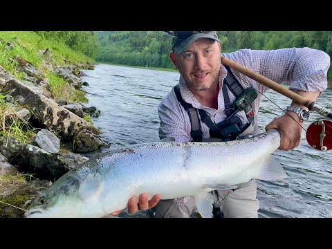 Flyfishing for big salmon at Gaula Flyfishing Lodge first week of June 2021