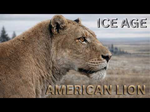 The American Lion Wasn’t What You Think | The Truth About Panthera atrox | Ice age | Lathos Earth