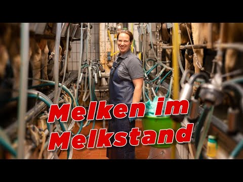 , title : 'Melken im Melkstand - My KuhTube Film 733'