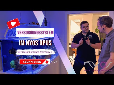 Coral expert evaluates my aquarium - Marine beginner series from A-Z