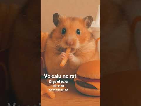 oi rat