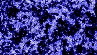 Thea Gilmore Dont Set Foot Over The Railway