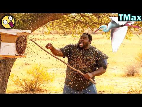 TOTAL IDIOTS AT WORK / Instant Regret Fails Compilation 2026 /Best Fails of the Week #340