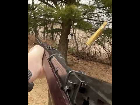 1895 Lee Navy POV: Shorts Edition