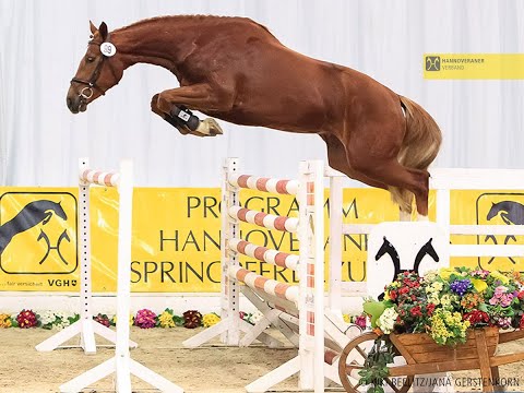 25. Freispringwettbewerb am Mittwoch, 30. März 200