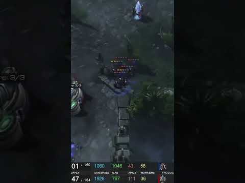 Painful Mutalisks hits in ZvP Bly vs ShoWTimE StarCraft 2
