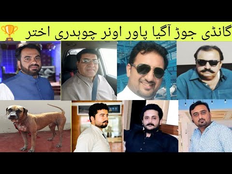 Lahori Bloodline Dog Name Power Son of King Bettal Owner Ch Akhtar Gagomandi 💪👍🏆 #dog #dogbreeds