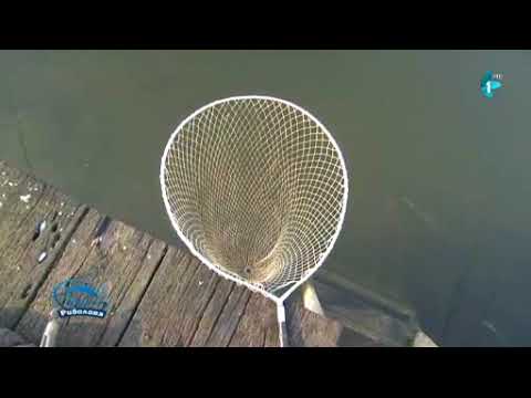 Čari Ribolova, Kanal u Bezdanu (18.02.2018)