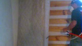 COMO ELIMINAR CHINCHES DE CAMA  FUMIGACIONES ATASH