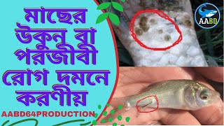 মাছের উকুন দমন