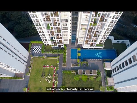 Customer Testimonial