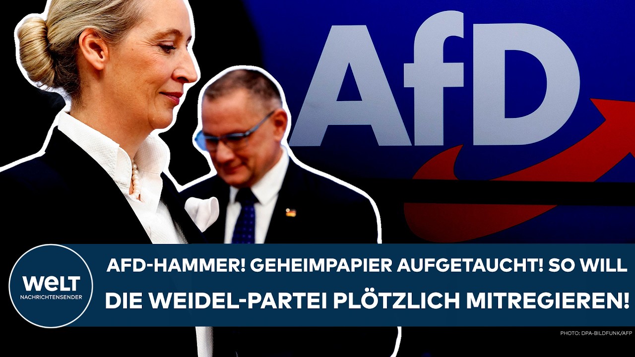 DEUTSCHLAND: AfD-Hammer! Geheimpapier aufgetaucht! So kann die Weidel-Partei plötzlich mitregieren!