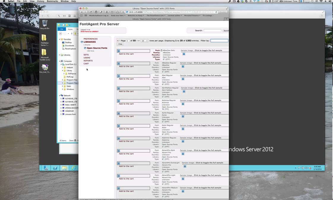 Insider  Software's Windows Server setup for Fontagent Pro