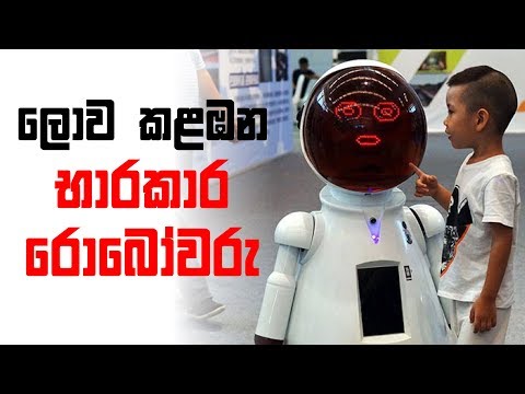 ලොව කළඹන භාරකාර රොබෝවරු