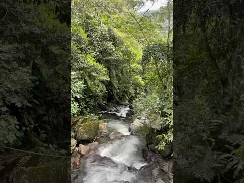 Camino al rio melcocho #viajando #sanfrancisco #antioquia #colombia
