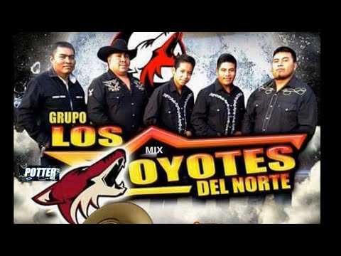MIX COYOTES DEL NORTE