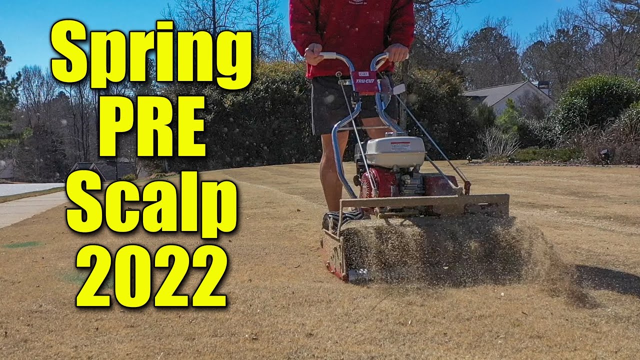 Scalping Bermuda Lawn - Preemergent Prep