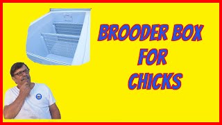 Brooder box for chicks