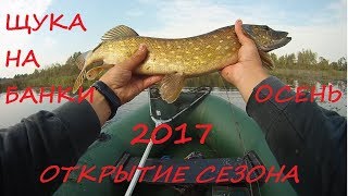 Любительская рыбалка ловля щуки на живца